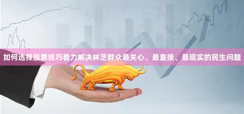 如何选择股票技巧着力解决林芝群众最关心、最直接、最现实的民生问题