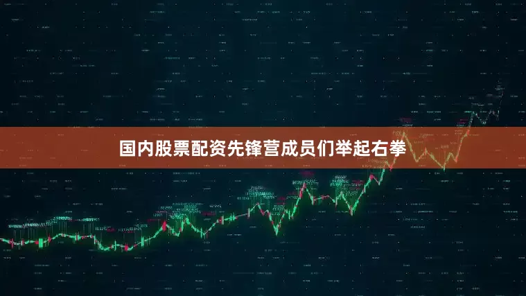 国内股票配资先锋营成员们举起右拳