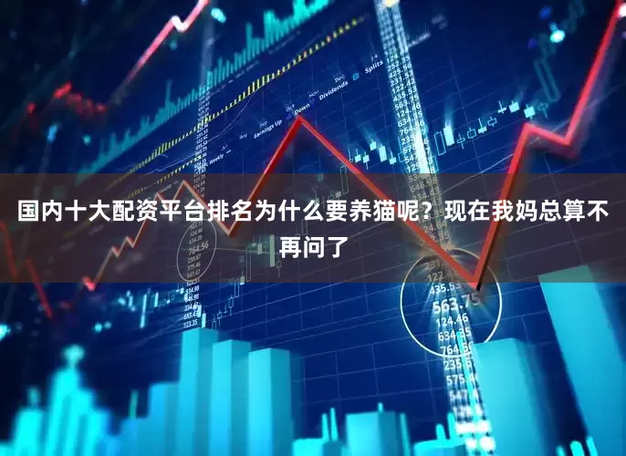 国内十大配资平台排名为什么要养猫呢？现在我妈总算不再问了