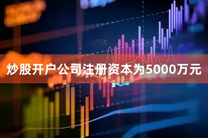 炒股开户公司注册资本为5000万元